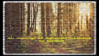 das ehemalige KZ Außenlager Tannenberg bei Unterlüß [upl. by Nierman]