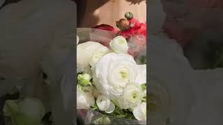 Flowers vlog remix music arabic ringtone song اكسبلورر travelblog funny [upl. by Dody]