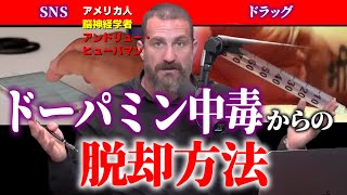 脳神経学者アンドリュー・ヒューバマンが教える「ドーパミンレベルをリセットする方法」 [upl. by Onairda]