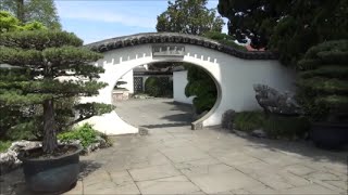 Bonsai collection in Shanghai Botanical Gardens [upl. by Gupta]