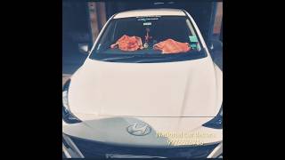 Hyundai nios seatcover installed  national car decorscbe cont  9976576716 [upl. by Inele]