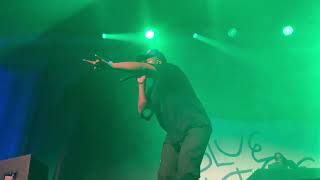 ScHoolboy Q  quotCollard Greensquot LIVE at Chicago IL Ramova Theatre 072424 [upl. by Laise290]