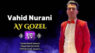 Vahid Nurani  Ay Gozel Derdinden daglari daslari gezerem ay gozel [upl. by Annaicul]