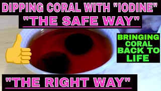 Iodine Coral Dip  How To Heal Coral  Using Iodine Safely [upl. by Groeg]