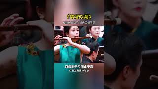 經典歌曲樂器演奏五音療愈修心養性禪悟人生 [upl. by Cullen]