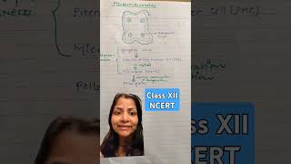 Process of microsporogenesis ncertsolutions biology NEET classxii plantphysio youtubeshorts [upl. by Atterg]