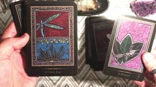 Shamanic Healing Oracle Cards UNBOXING [upl. by Jaala]