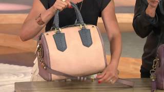 orYANY Reese Italian Diamond Leather Satchel with Lisa Robertson [upl. by Milka]