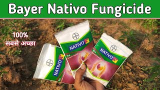 Nativo Fungicide  Bayer Nativo use in hindi पूरी जानकारी [upl. by Merry]