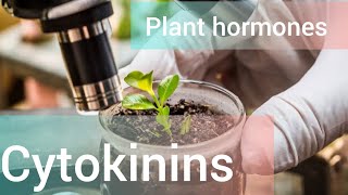 Cytokinins plant growth hormone [upl. by Shreeves456]