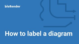 How to label a diagram [upl. by Ennoira740]