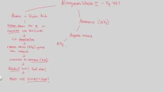 Excretion  Nitrogenous Wastes I  BIALIGYcom [upl. by Burny]