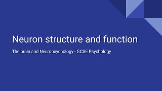 Neuron structure and function [upl. by Lacsap]