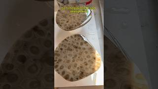 Petoskey Stone Coasters [upl. by Gerik369]