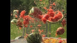 Exploding Targets Watermelons with an AR15 [upl. by Adlemi]