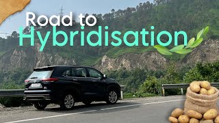 Toyota Innova Hycross Hybrid to Hybrid Potatoes in the Hills  TheRaceMonkey [upl. by Leitnahs]