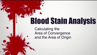 Blood Stain Analysis  Calculating the Area of Convergence and the Area of Origin [upl. by Yelyab513]