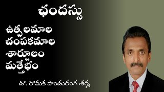 Chandassu  Vrittalu ఛందస్సు  ఉత్పలమాల  చంపకమాల  శార్దూలము  మత్తేభము [upl. by Joappa]