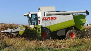 Claas lexion 470  Loonwerken Heyvaert  Mais dorsen  Corn harvest  Mais dreschen [upl. by Daus217]