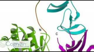 Cognizin FAQ  Why use Citicoline Part 3 of 10 [upl. by Nonohcle]