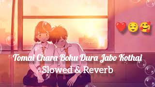 Tomay Chere Bohu Dure Jabo Kothay Slowed  Reverb😌Ek Jibon SlowedReverb LoFi Bangla Song [upl. by Einama]