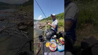 FEEDER fishing combo CANNAMULINELLO 🔝 per la pesca a LONG DISTANCE FEEDER shorts [upl. by Adnuhsed]