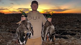 4 Man Minnesota Field Duck Hunt Catch and Cook [upl. by Benn]