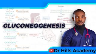 Metabolism  Gluconeogenesis amp Clinical Correlates [upl. by Clayborne909]