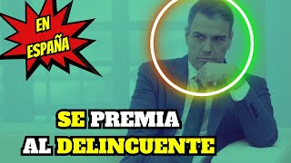 JAVIER CÁRDENAS 🔥LAMENTABLE🔥 Estamos en un PAÍS donde se PREMIA al DELINCUENTE [upl. by Aihsemat]