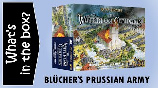 Black Powder Epic Bluchers Prussian Napoleonic Waterloo starter army  Unboxing amp review [upl. by Eniffit]