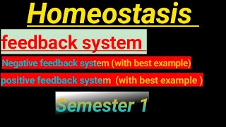 what is homeostasis  Function of homeostasis in human body [upl. by Neraa]