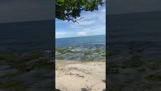 ILOCOS NORTE VIEW PHILIPPINES Solid shorts viralvideo viralshorts viralvideos short [upl. by Lindahl]