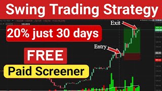 How To Select STOCKS For Swing Trading 2024  Swing Trading Strategie  Best Stock Screener [upl. by Pillihpnhoj]