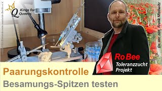 Bienenköniginen kontrolliert paaren Test von Kapillaren zur instrumentellen Besamung [upl. by Daitzman521]