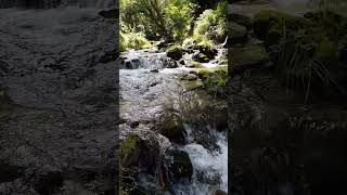 Le ruissellement de l eau d une rivière cest magnifique [upl. by Ayoted]