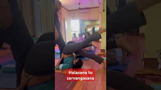 Halasana plow pose and Sarvangasana shoulder standhalasana sarvangasana plowpose sarvangasna [upl. by Reynold652]