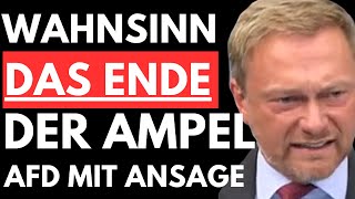 🚨WAHNSINN LINDNER BRINGT DAS ENDE DER ALTPARTEIEN AFD MIT KNALLHARTER ANSAGE🚨 [upl. by Luanni]