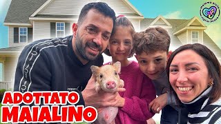 VLOG MAMMAGIULIA HA ADOTTATO UN MAIALINO NANO FIGLIACHIARA E FIGLIODIEGO NON LO SANNO SORPRESA [upl. by Chelsey]