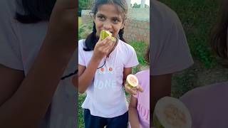 Gori Tera gaon bada pyara nature oldisgold bollywood music song fruit wildfruit kakri melon [upl. by Torras132]