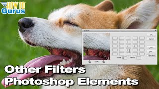 How to Use the Photoshop Elements Other Filters [upl. by Zigrang]