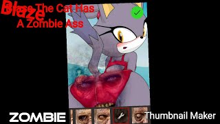 Blaze The Cat Has A Zombie Ass [upl. by Ysteb]