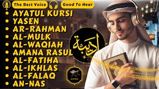 Peaceful Quran Recitations Embracing Tranquility Murottal Al Quran ALA YASER [upl. by Nesnar144]