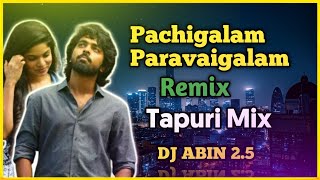 POURUSHALA PILLAGADU FULL SONG  JANULYRI  SINGER VAGDEVI  FULL BOTTLE MUSICK [upl. by Iclek]