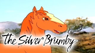 The Silver Brumby 114  Spring HD  Full Episode [upl. by Ahsart]