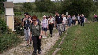 Weinblütenwanderung in Guntramsdorf [upl. by Ecikram]