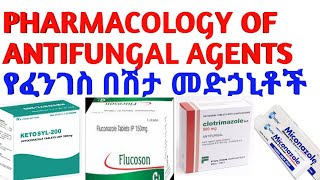 Antifungal Drugs AntifungalAgents pharmacology pharmacy antibiotics doctor የፈንገስ መድሐኒት [upl. by Natiha]