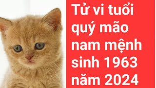 Tử vi tuổi quý mão nam mạng sinh 1963năm 2024 [upl. by Amathiste]