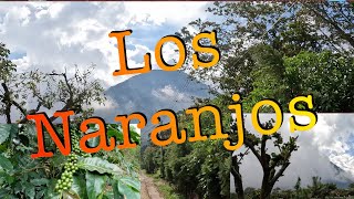 Los Naranjos [upl. by Stilla253]