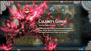 Hyrule Warriors Age of Calamity  How to Unlock Calamity Ganon [upl. by Jasen]