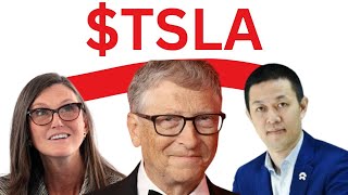 TSLA STOCK NEWS MONDAY buying TSLA price forex broker [upl. by Lefton]